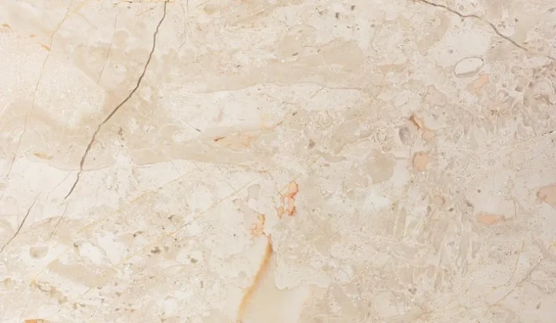 CREMA NOVA FOSSIL